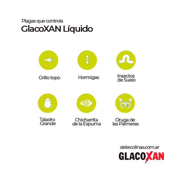 Hormiguicida Líquido Glacoxan E - Plagas que controla